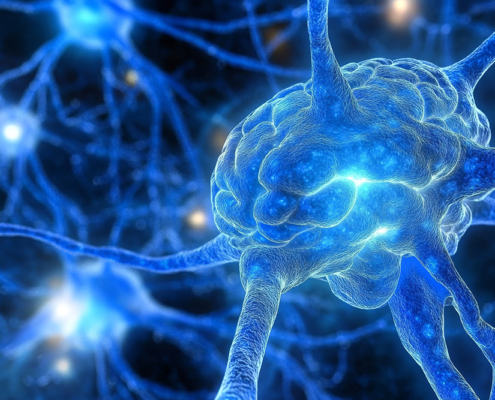 Cerebro y neurona