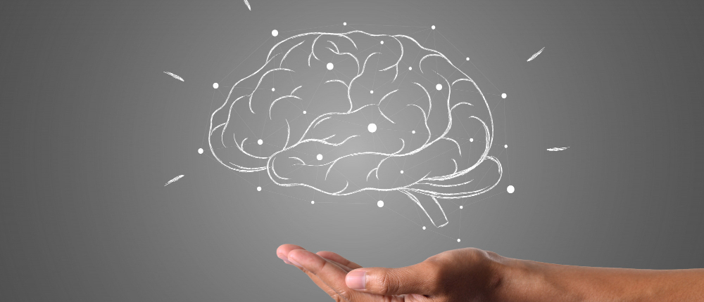 Imagen de cerebro dibujado