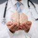 Médico con figura de cerebro en las manos